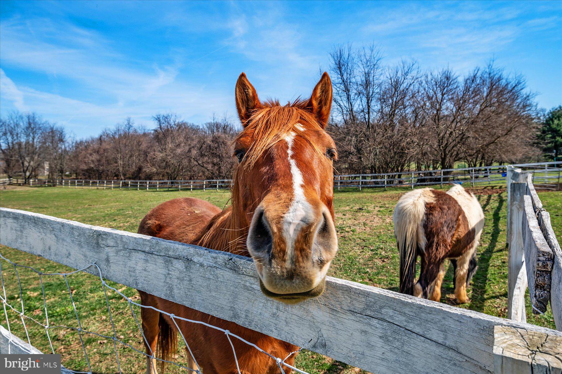 NONE AVAILABLE - Farm