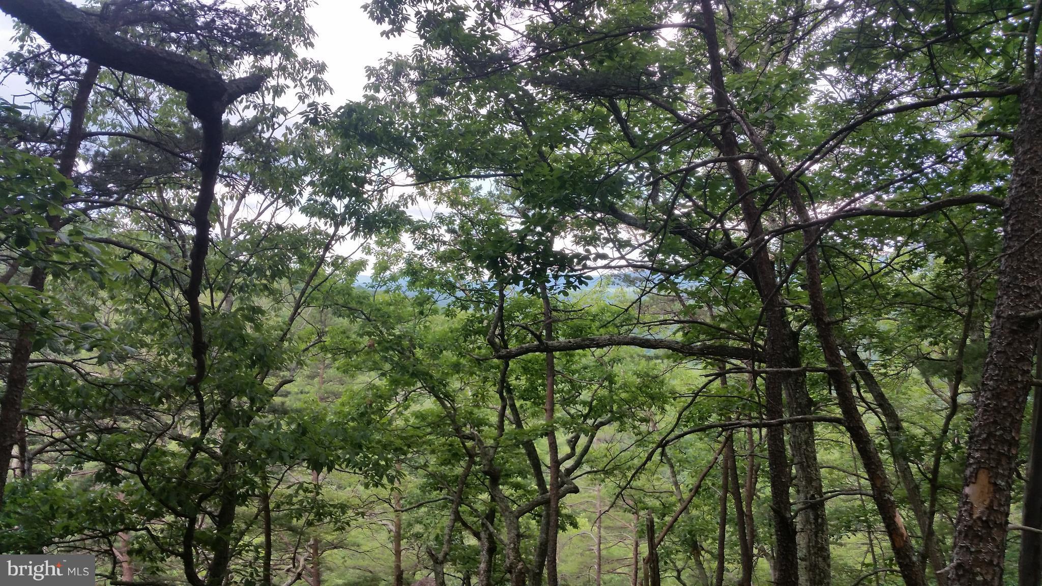 POTOMAC VALLEY VISTA - Land