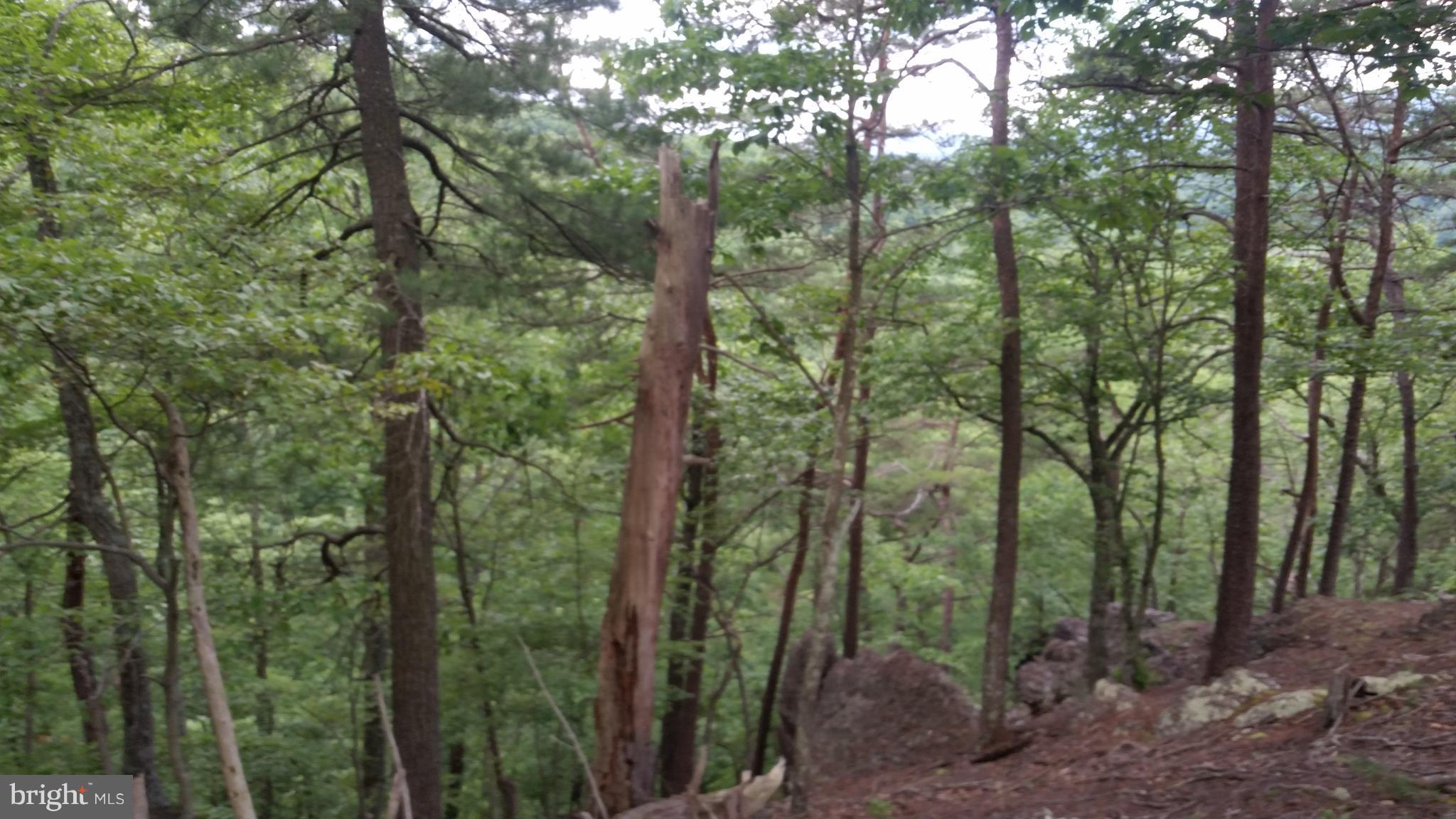 POTOMAC VALLEY VISTA - Land