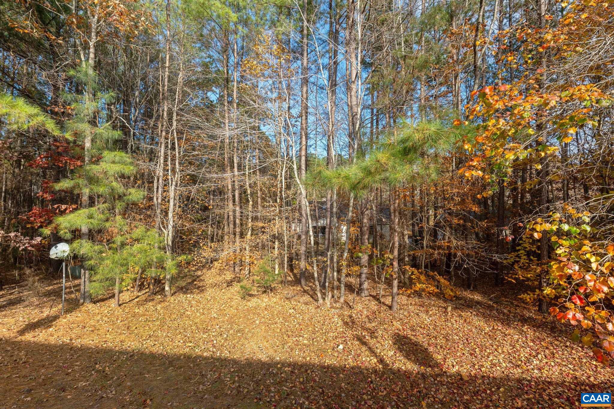 LAKE MONTICELLO - Residential