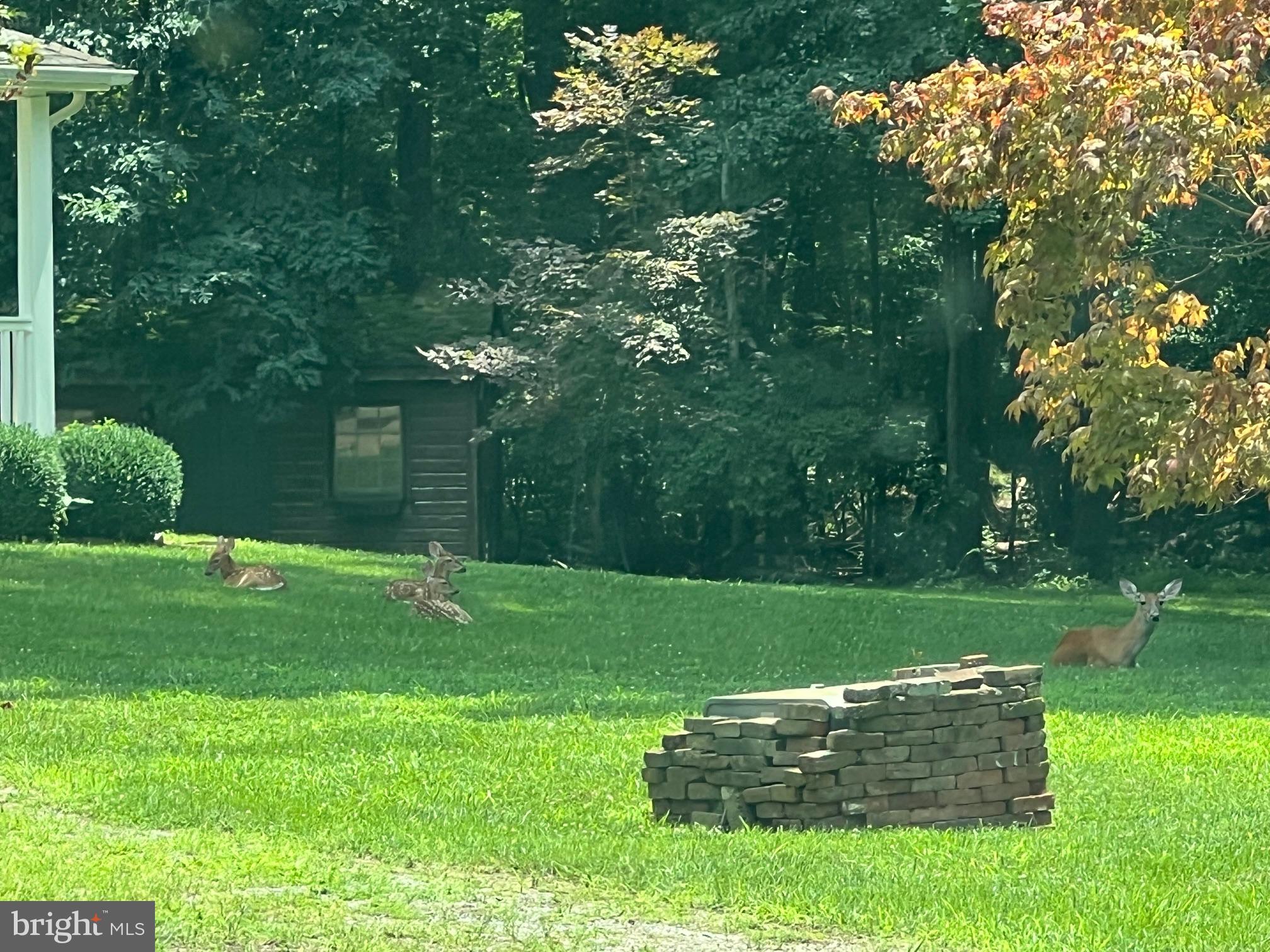 12 SOUTH DRIVE