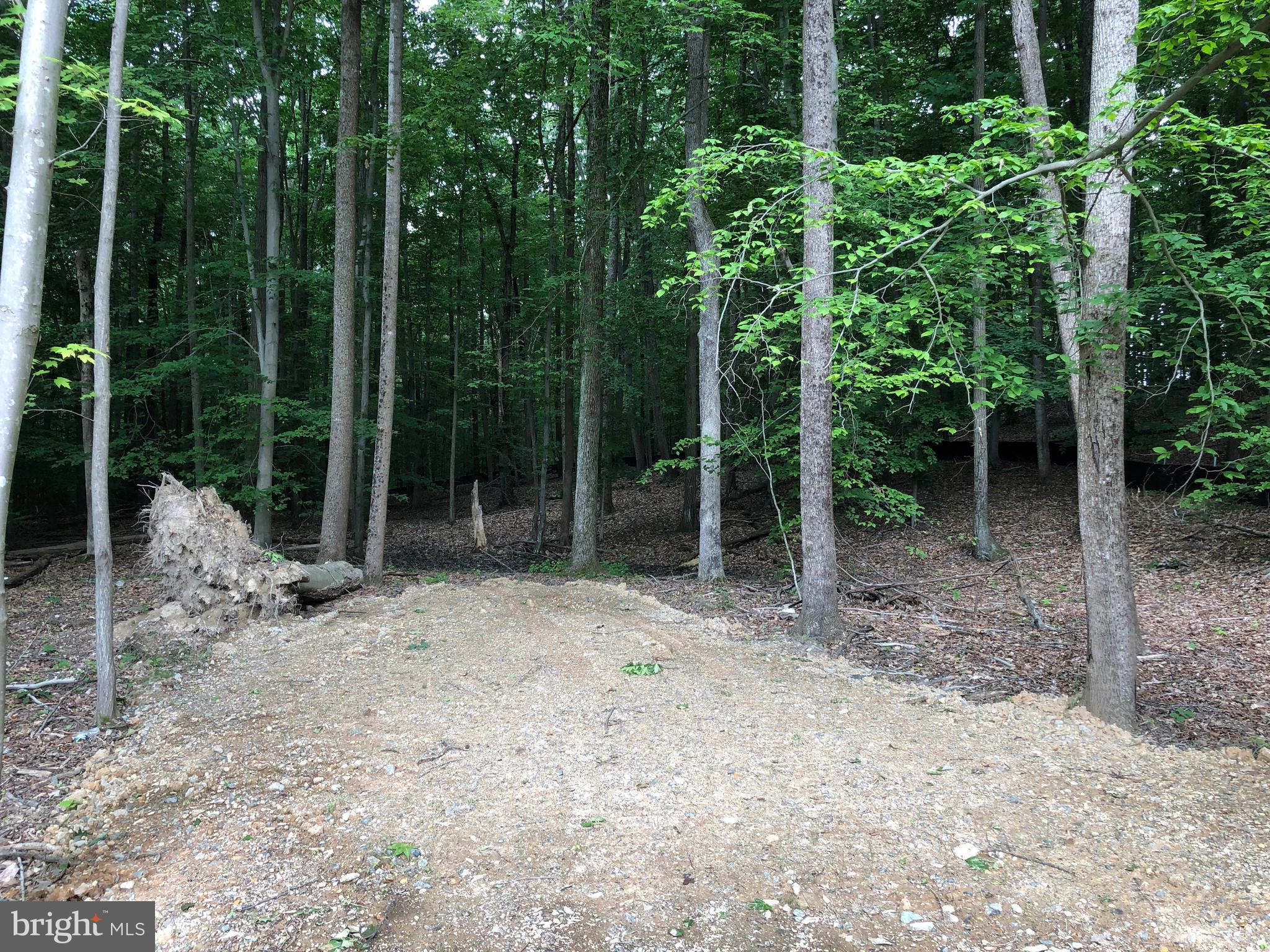 THOMPSON'S CROSSING - Land