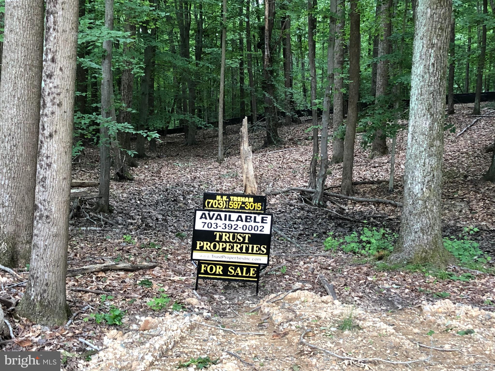 THOMPSON'S CROSSING - Land