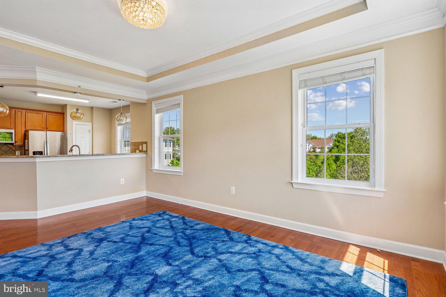 THE GREENBRIER CONDO - Residential