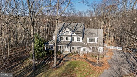 9040 AIRFIELD COURT KEMPTON PA 19529