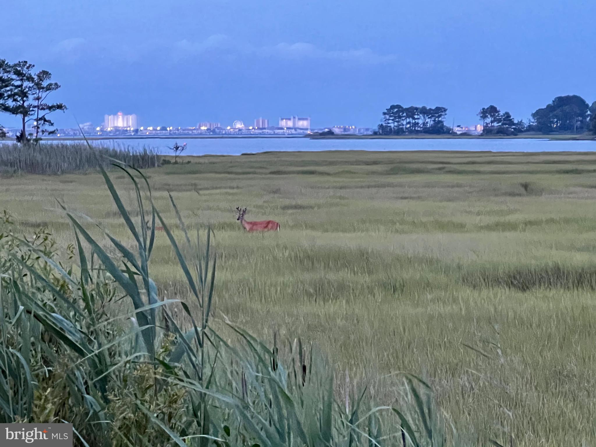 OCEAN PINES - SHERWOOD FOREST - Residential