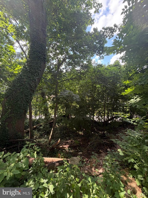 Vacant Land For Sale - 582 Gorgas Lane<br/> Philadelphia County, PHILADELPHIA, PA 19128