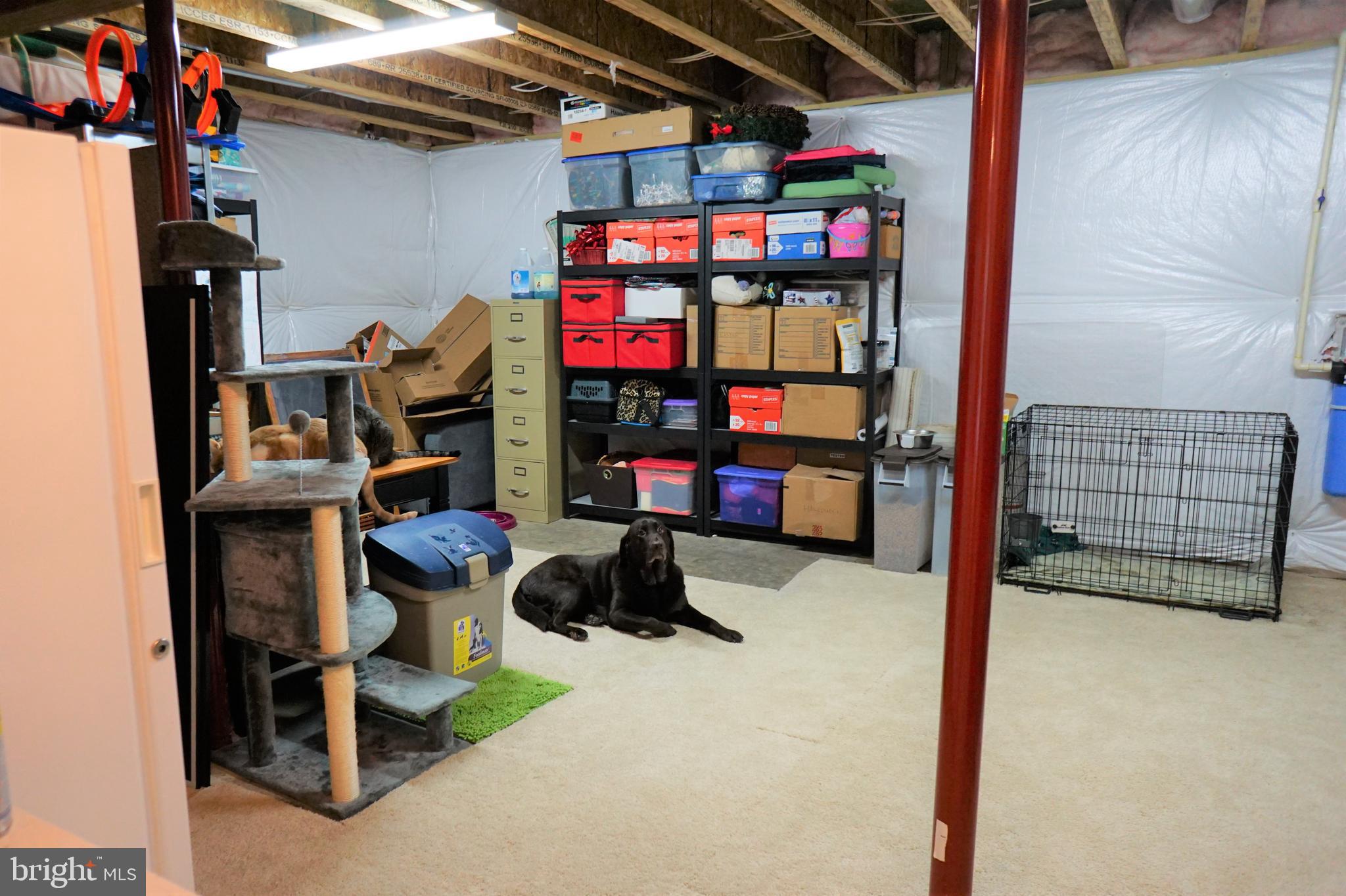 FOREST VIEW ESTATES - Residential