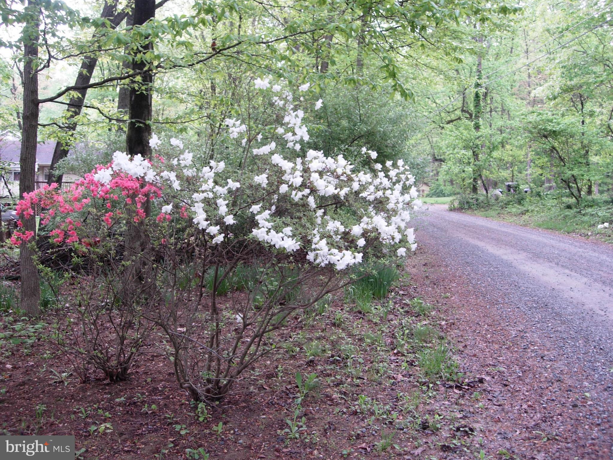 SHENANDOAH RETREAT - Land