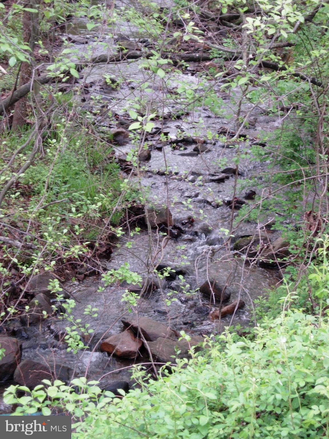 SHENANDOAH RETREAT - Land