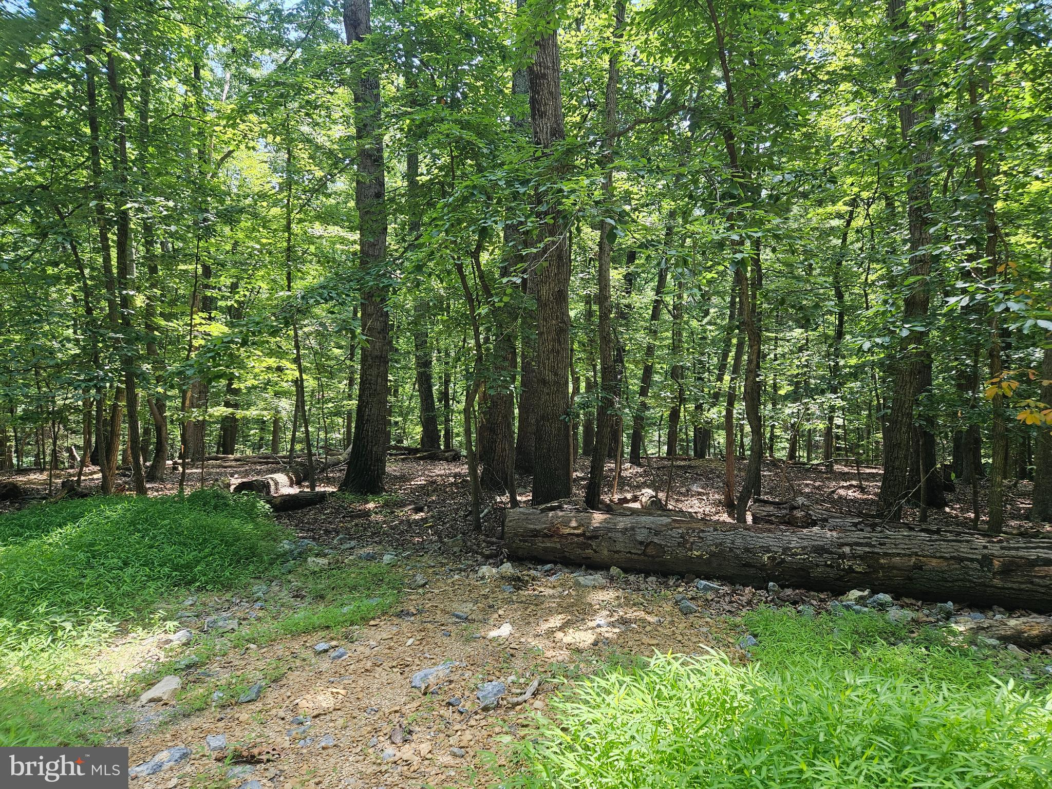DOGWOOD LN