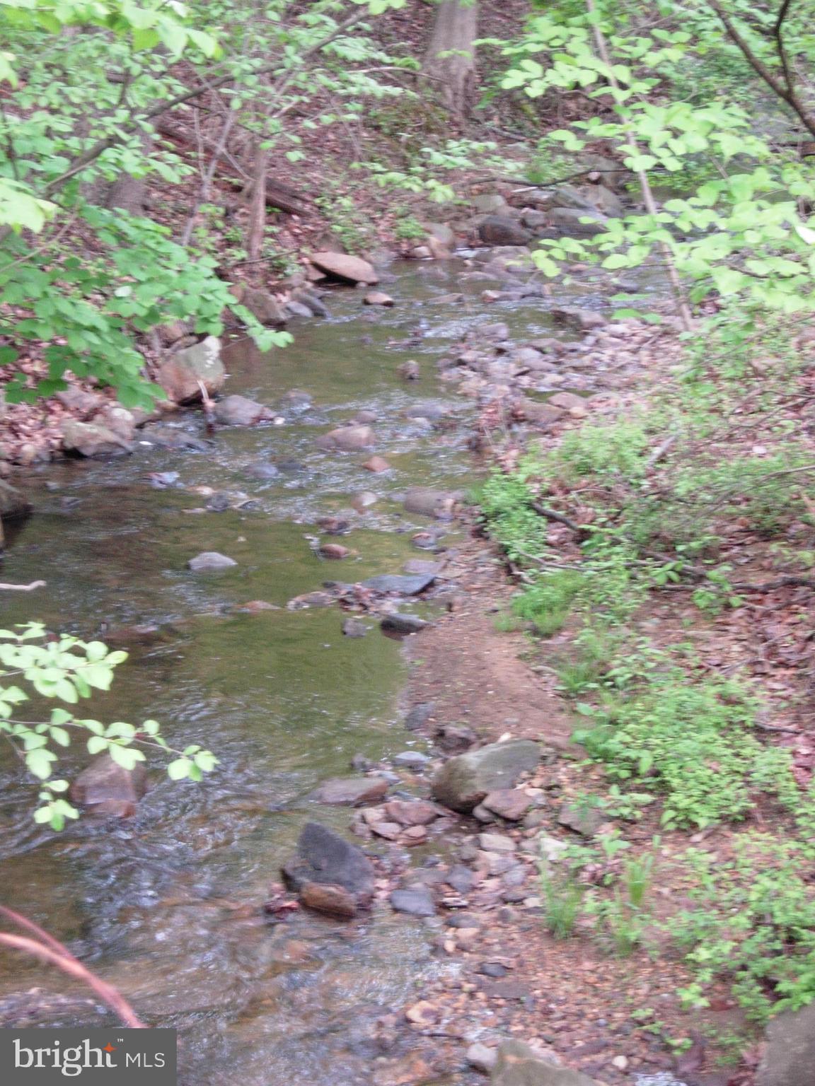 SHENANDOAH RETREAT - Land