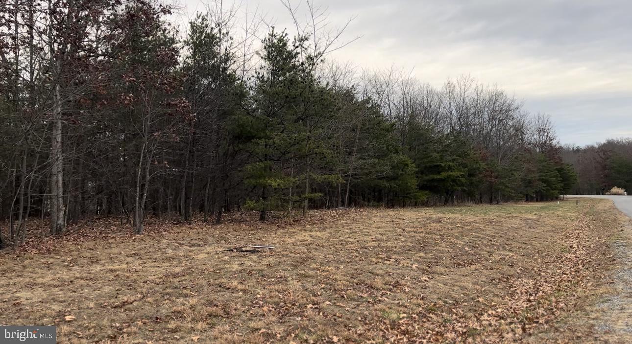 CACAPON SOUTH SECTION 5 - Residential