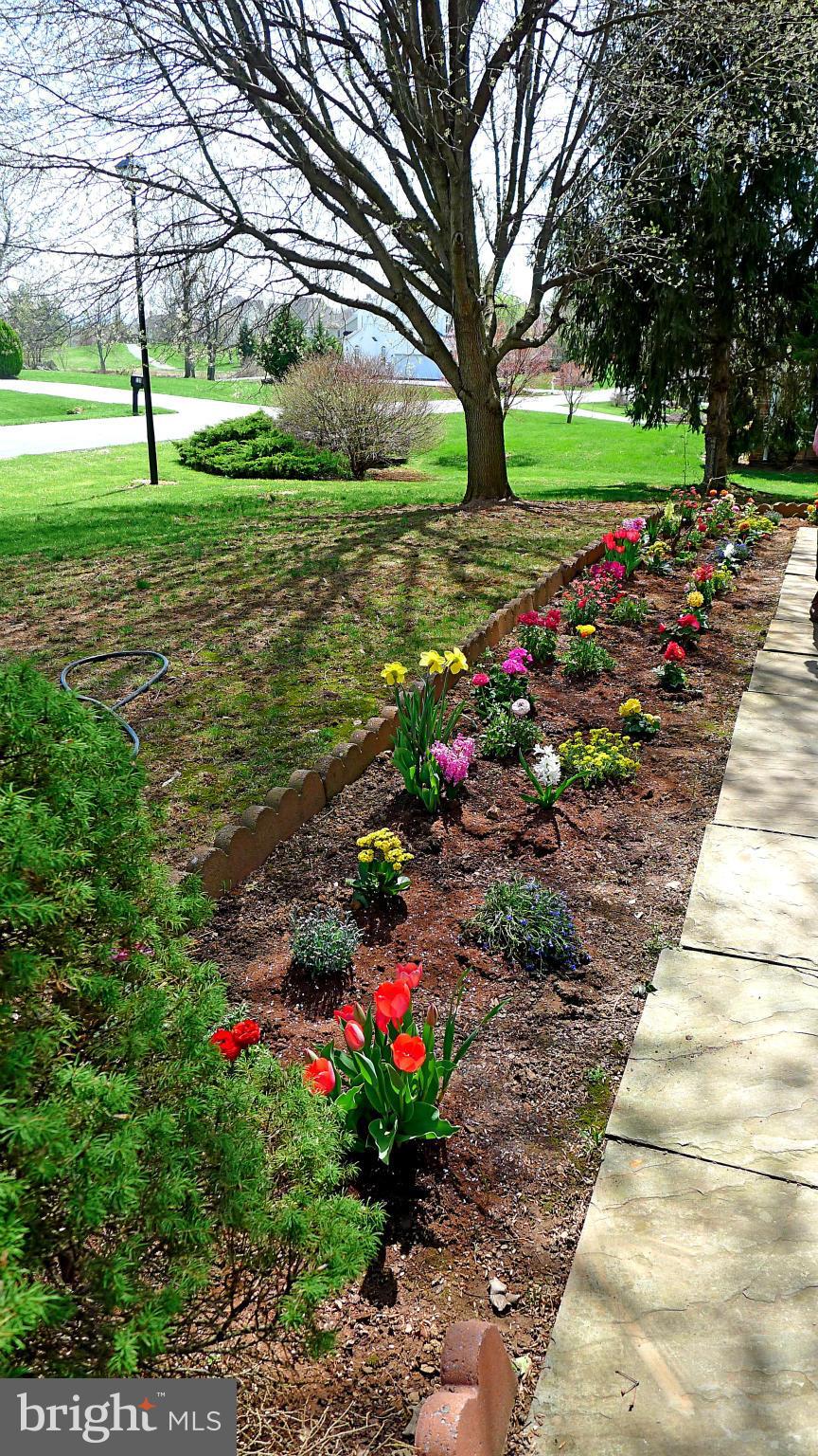 LOCUST HILL - Residential