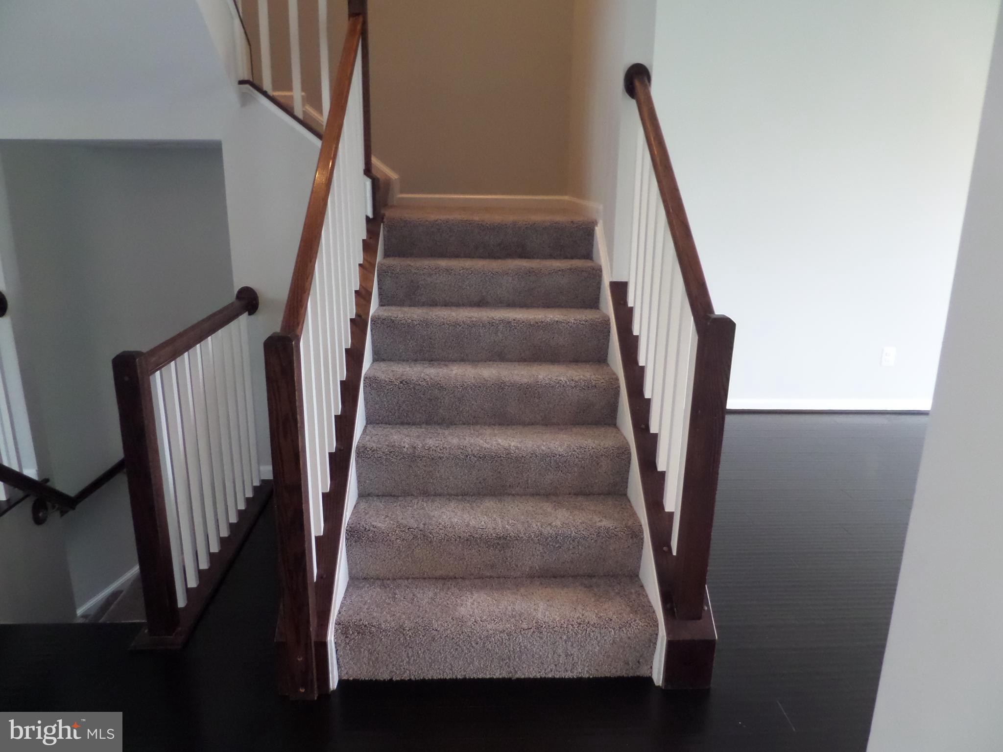 CARDINE/TORRIS - Residential Lease