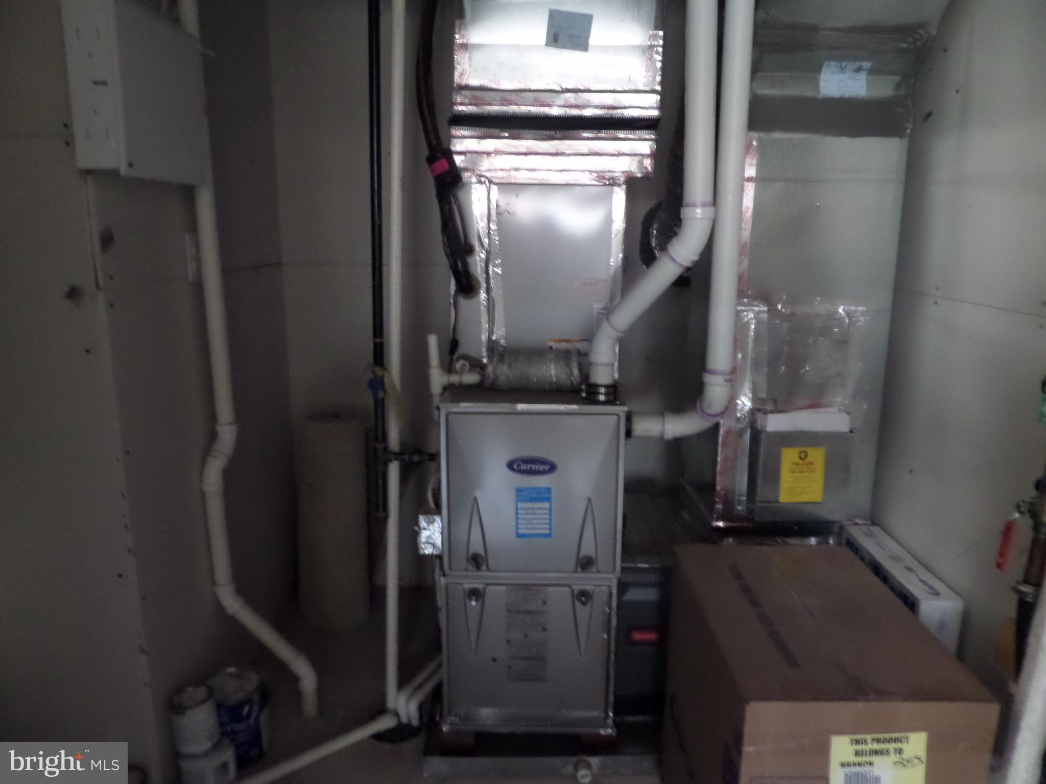 CARDINE/TORRIS - Residential Lease