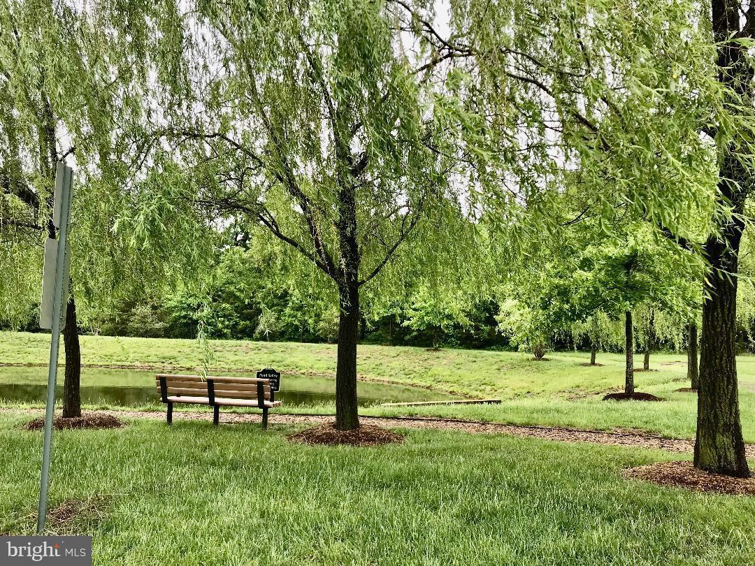 CARDINE/TORRIS - Residential Lease