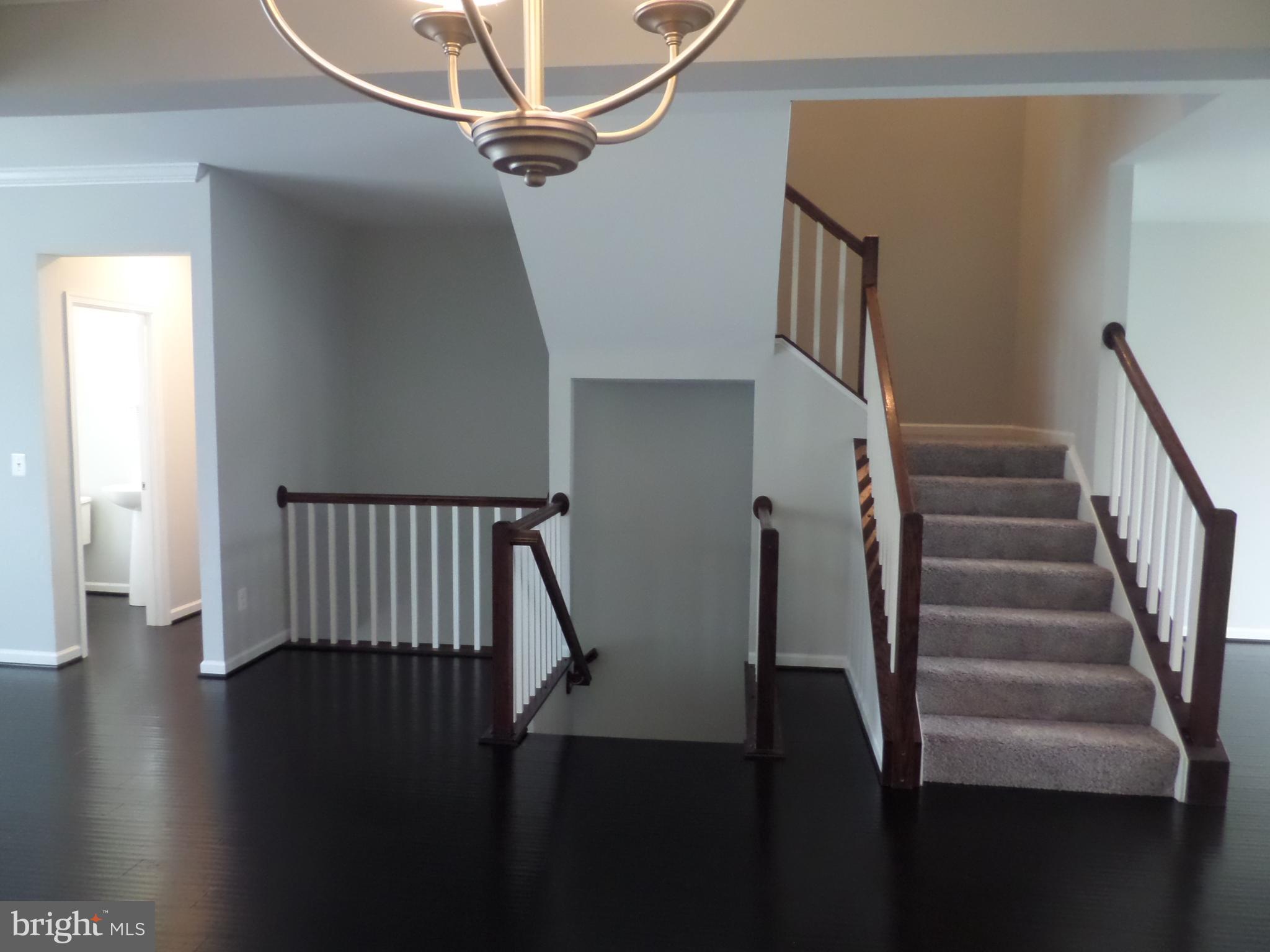 CARDINE/TORRIS - Residential Lease