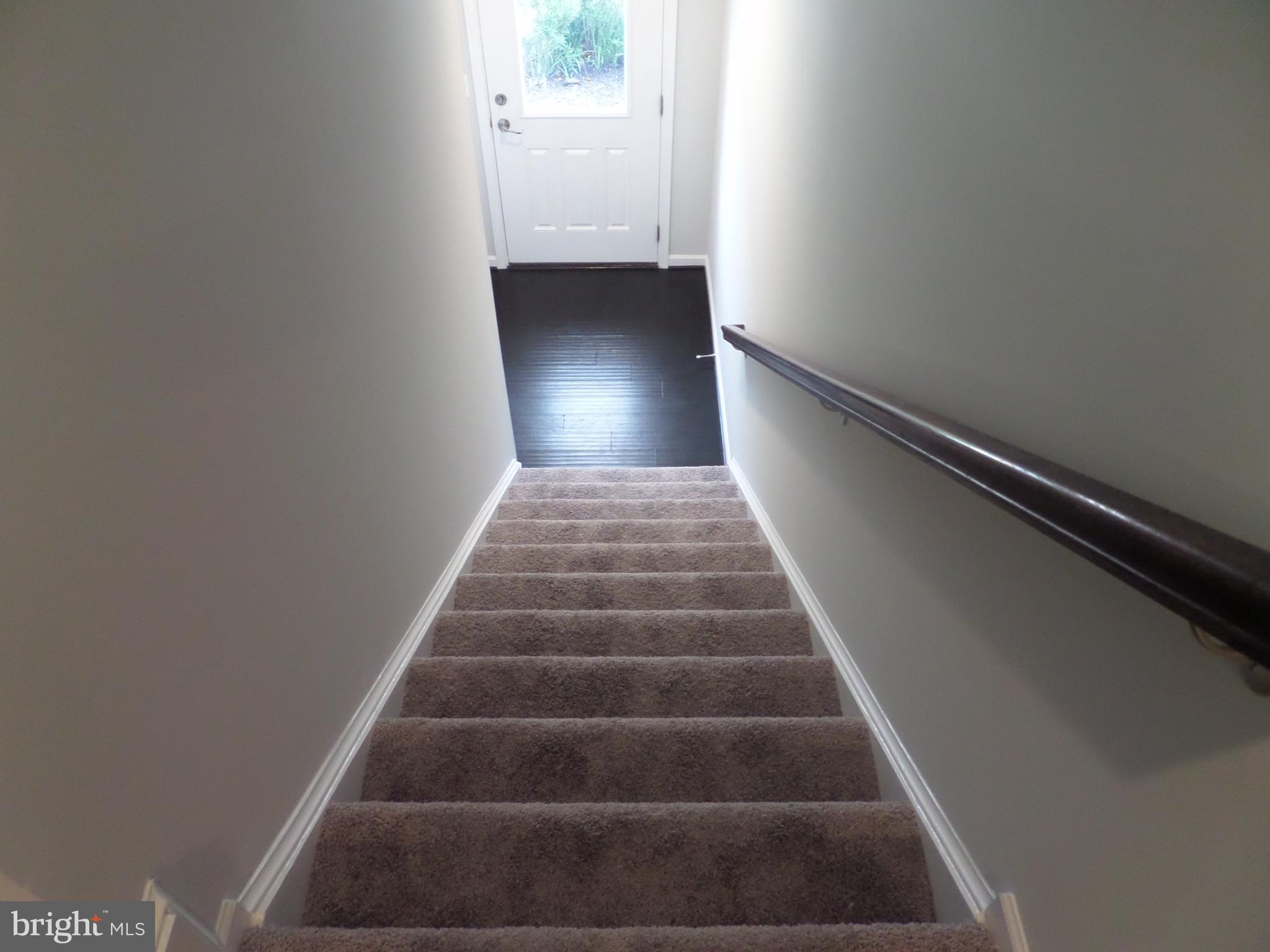 CARDINE/TORRIS - Residential Lease