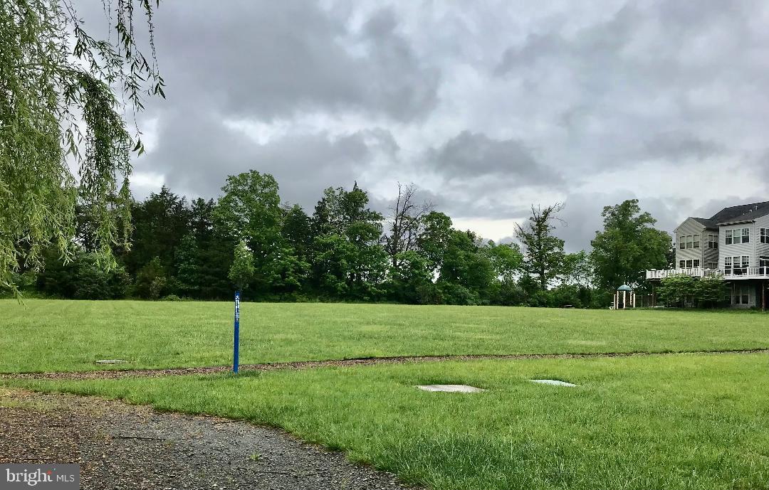 CARDINE/TORRIS - Residential Lease