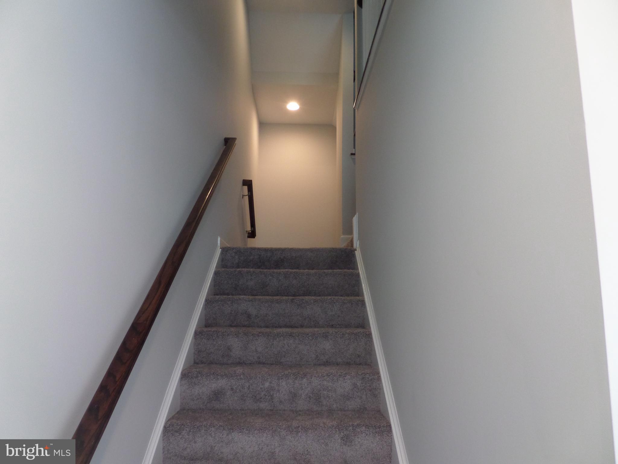 CARDINE/TORRIS - Residential Lease