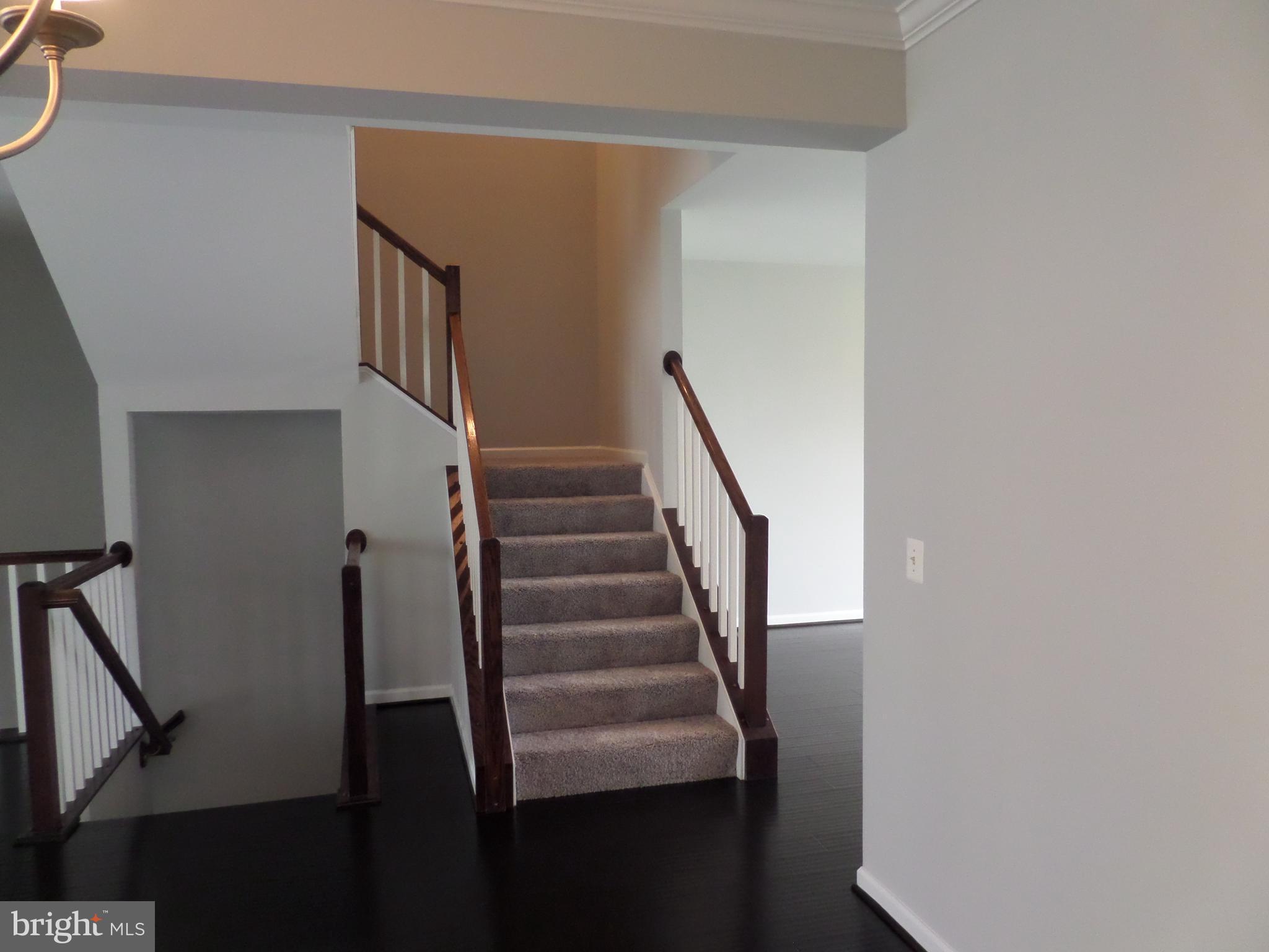 CARDINE/TORRIS - Residential Lease