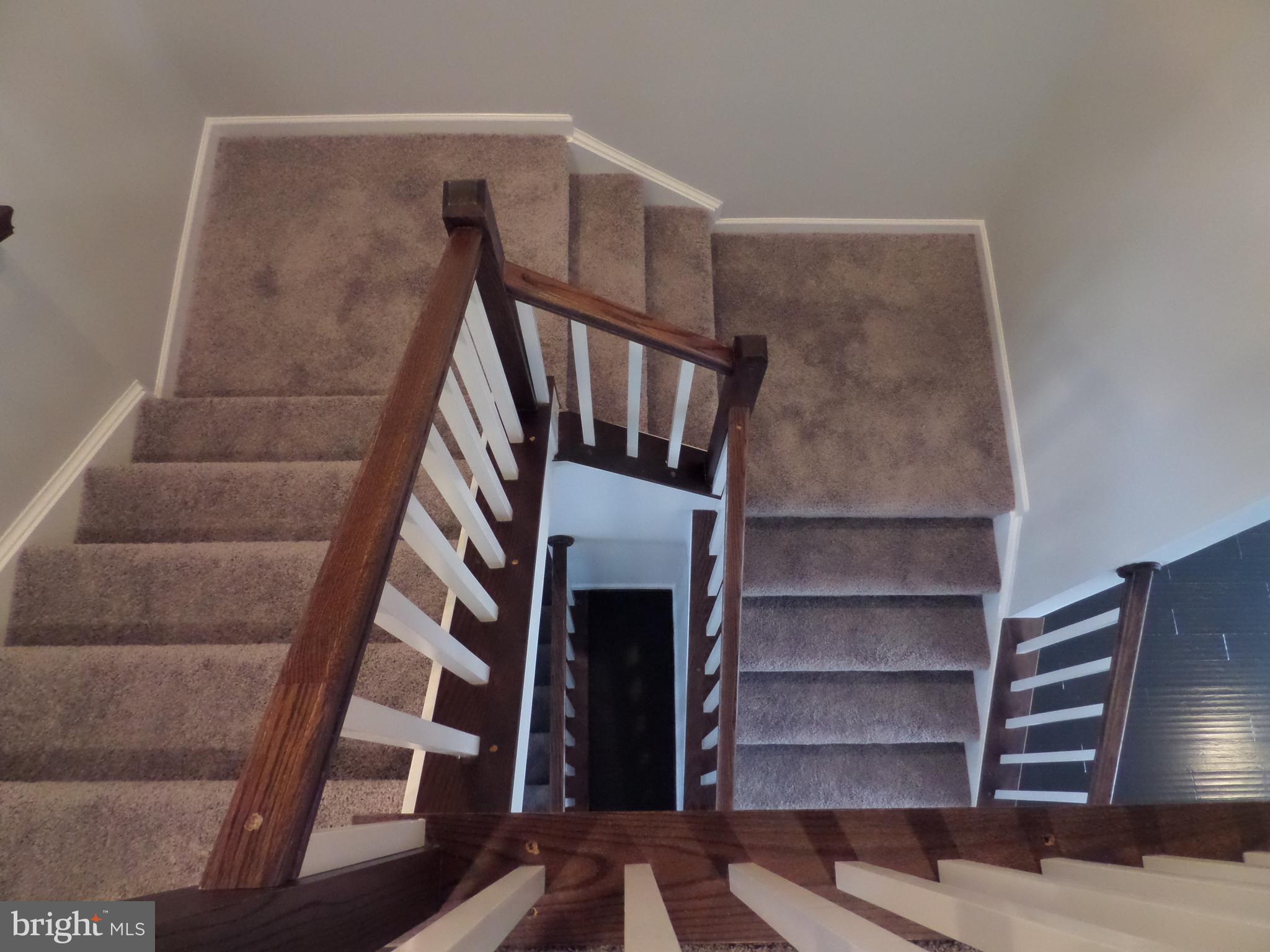 CARDINE/TORRIS - Residential Lease