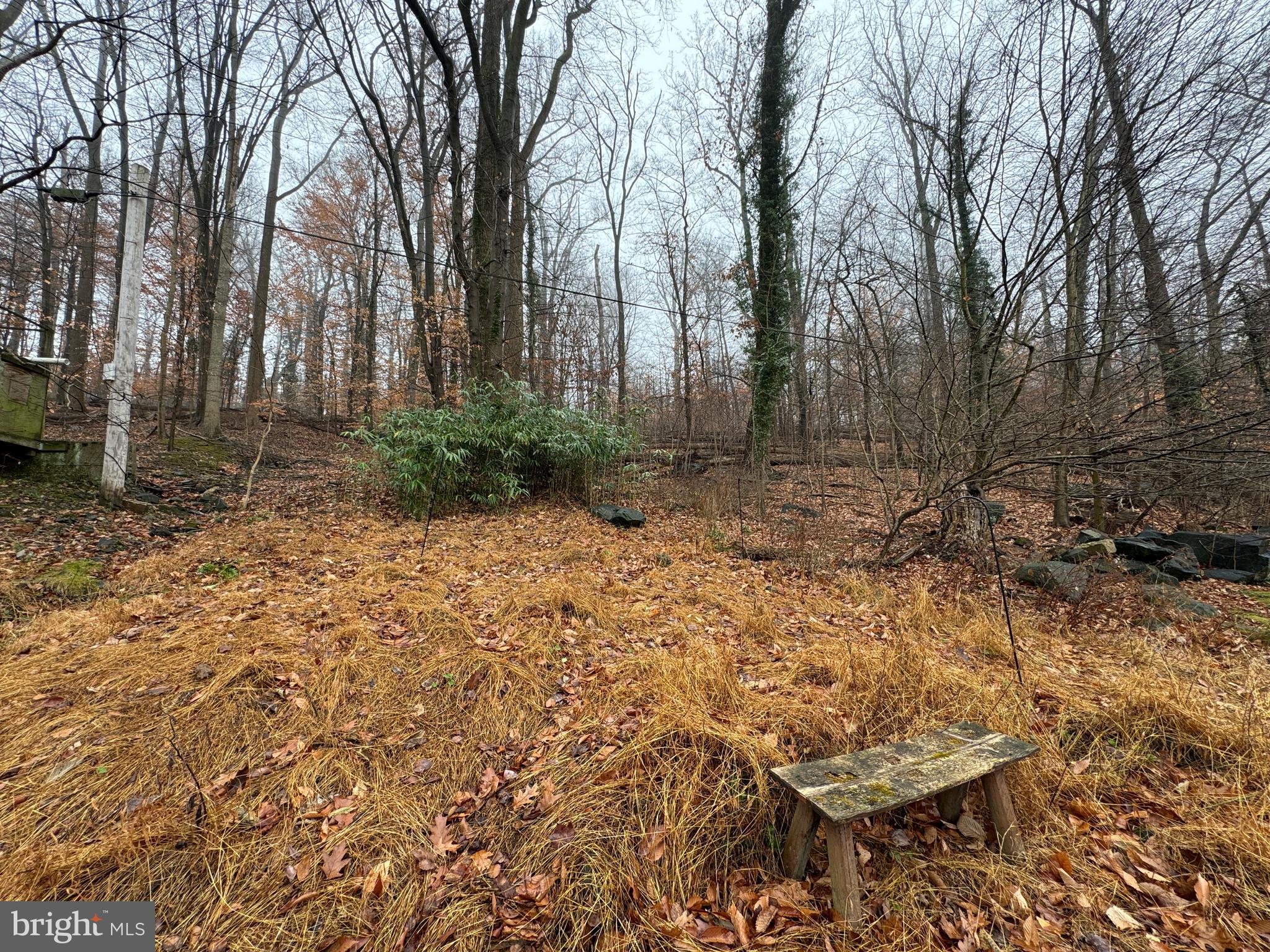 MOUNT WASHINGTON - Residential