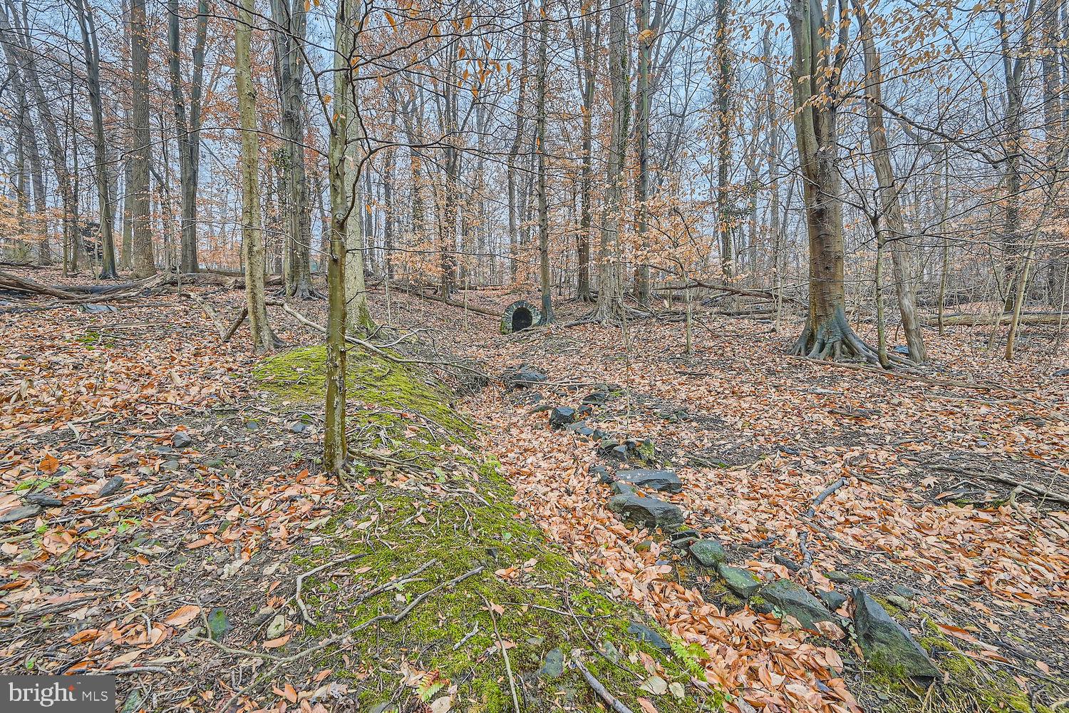 MOUNT WASHINGTON - Residential