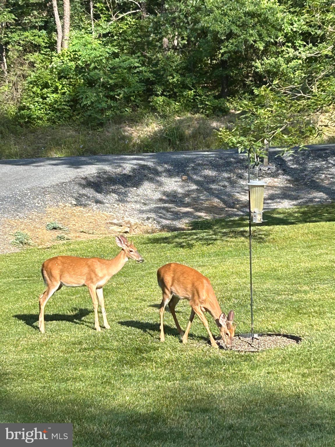 HIDDEN PASS - Residential