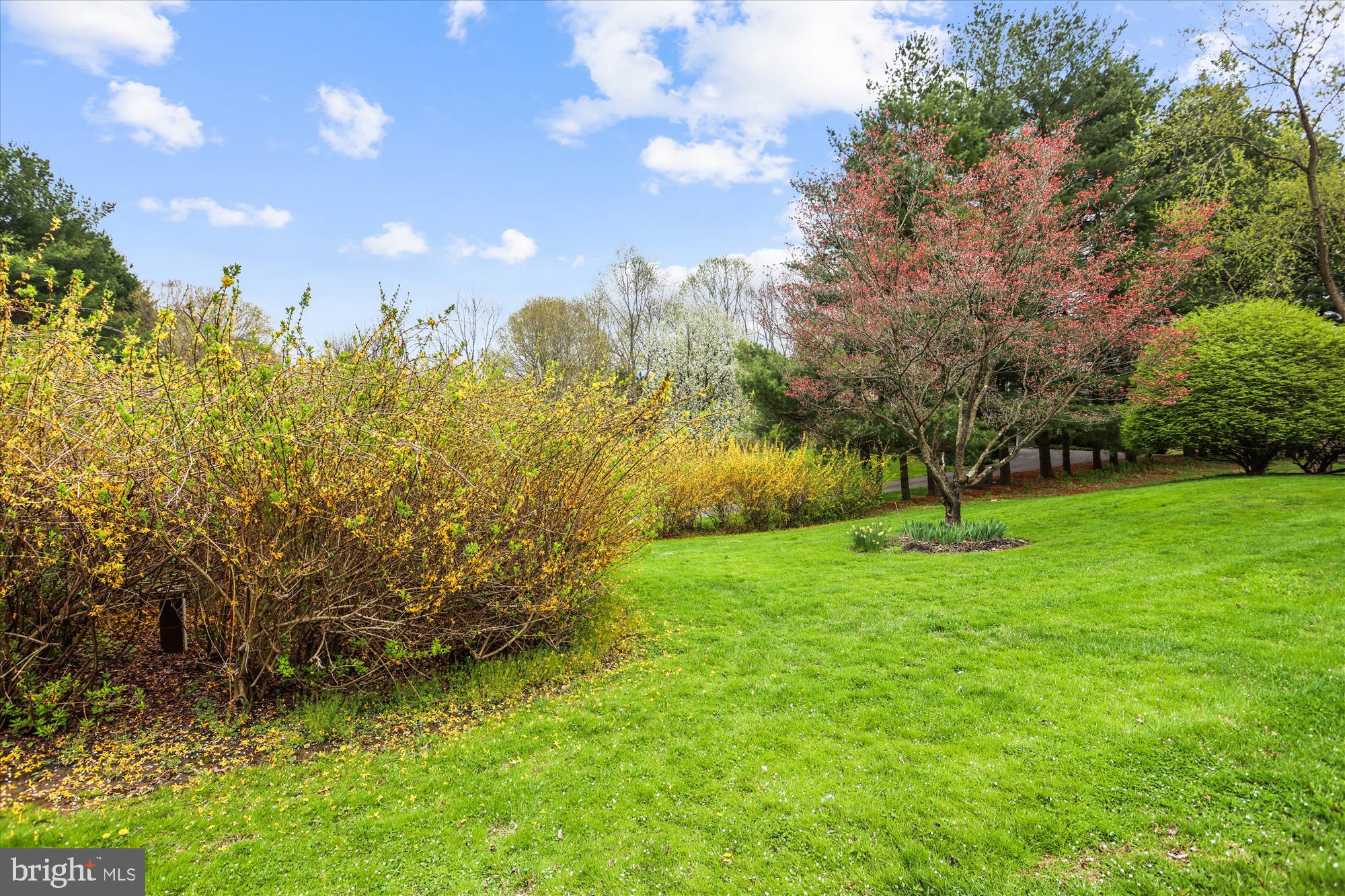 DELLABROOKE FOREST - Residential