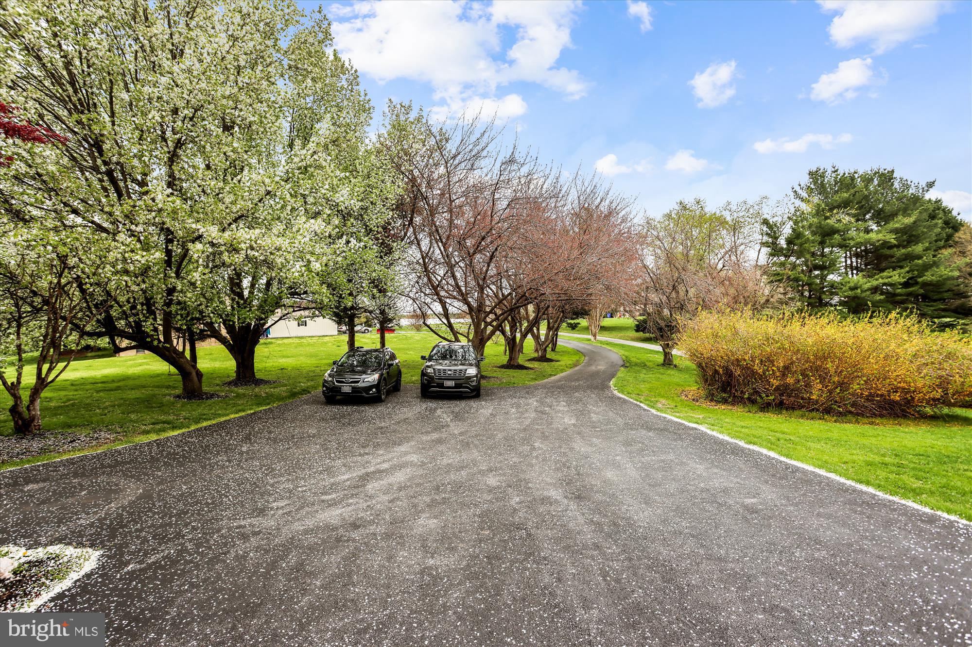 DELLABROOKE FOREST - Residential