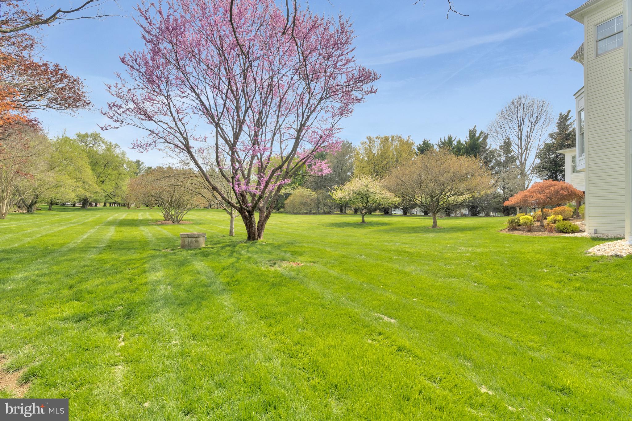 SADDLEBROOK - Residential