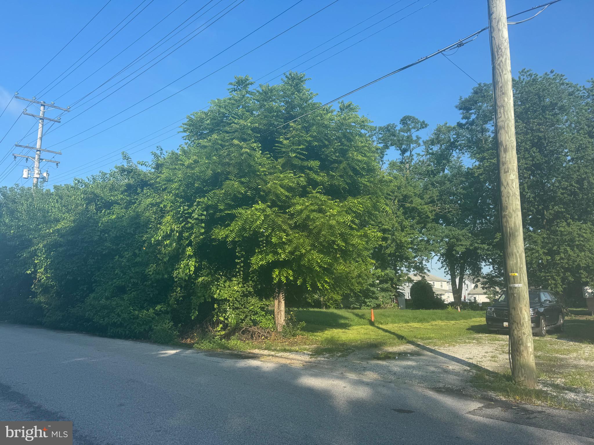Great Buildable lot, .52 Acres. Dimensions are 100' X 228'. Contact Baltimore County regarding all building permit information. Natural gas and electric available on site.