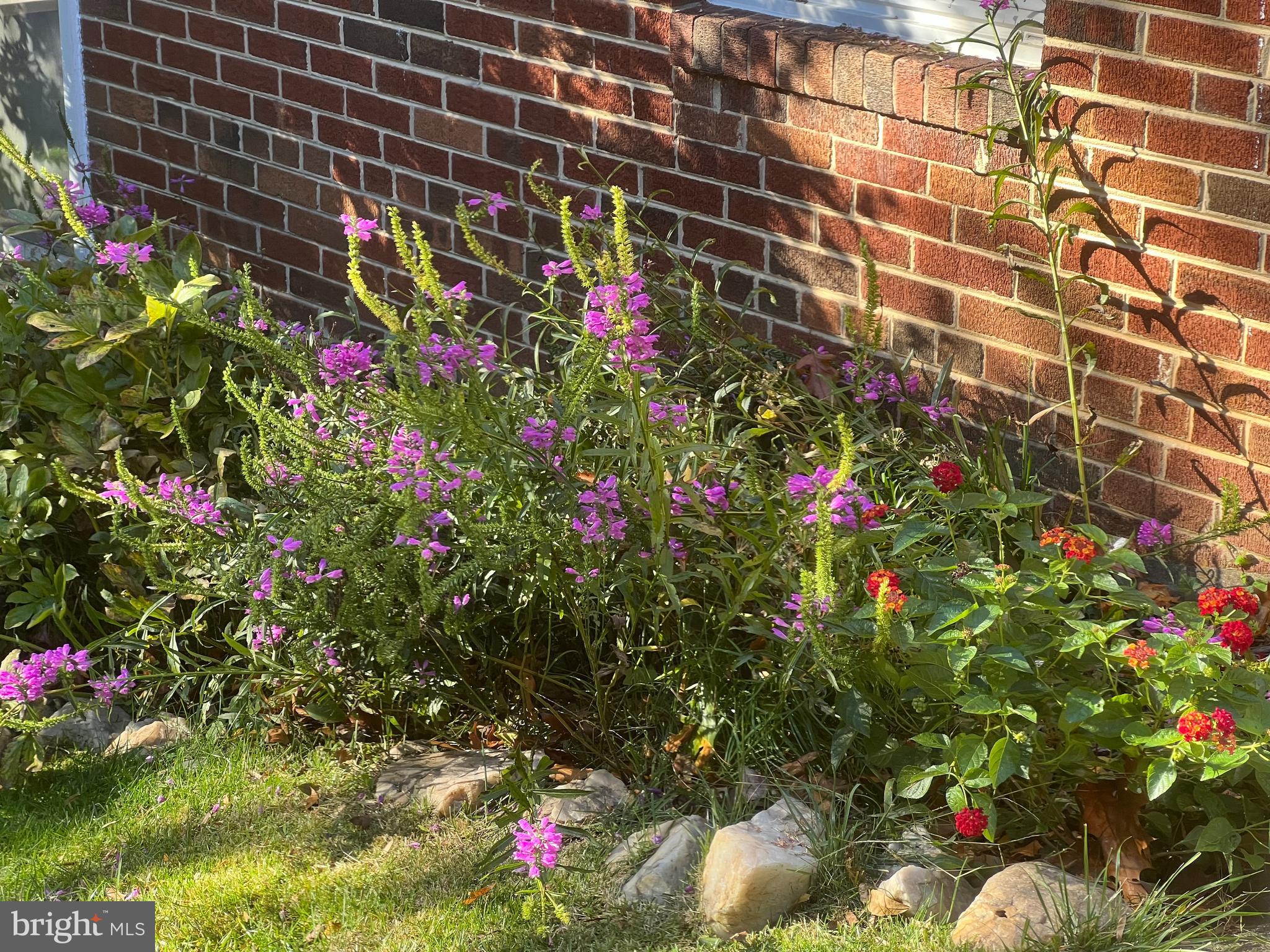 ROCK CREEK FOREST - Residential