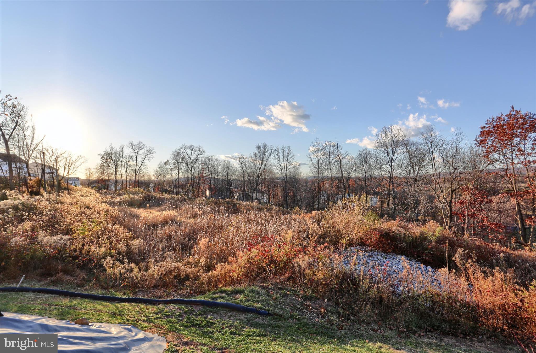 THE WOODS - Residential