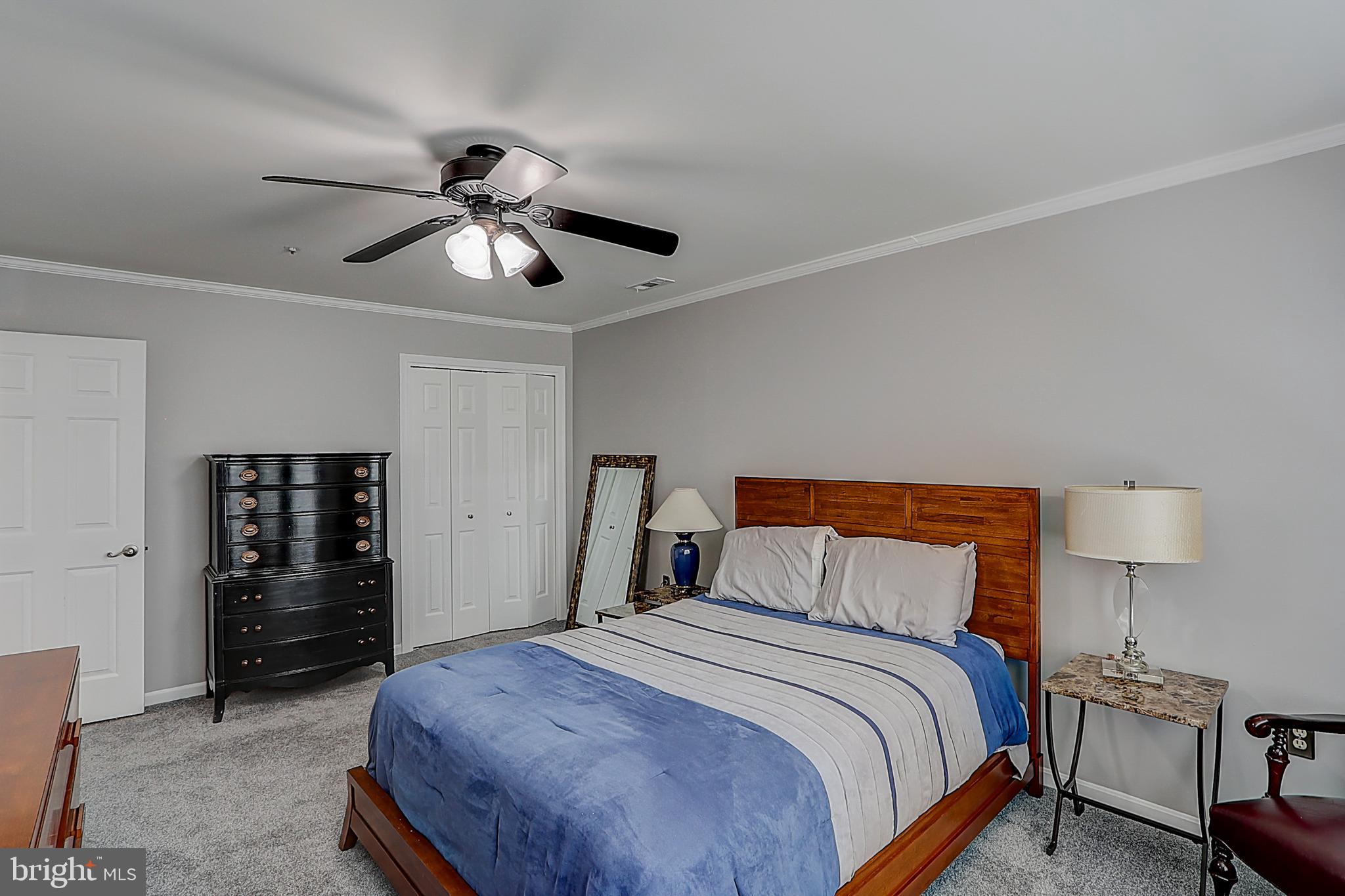 CHELTENHAM WOODS - Residential