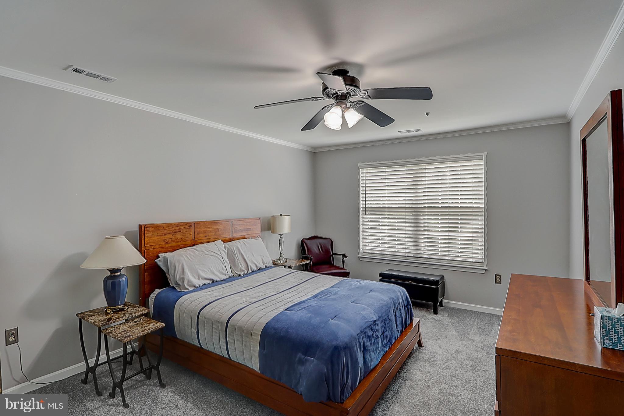 CHELTENHAM WOODS - Residential