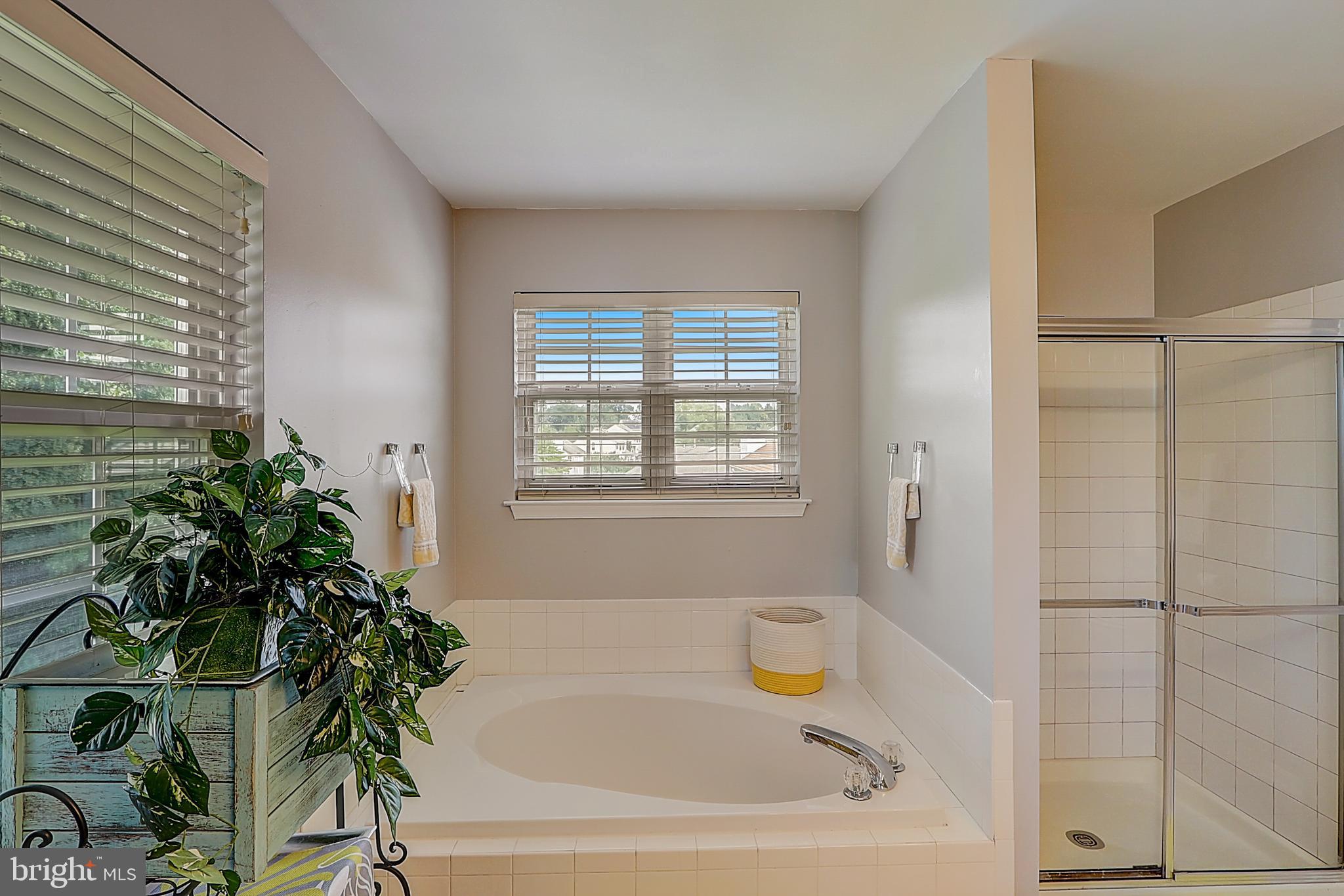 CHELTENHAM WOODS - Residential