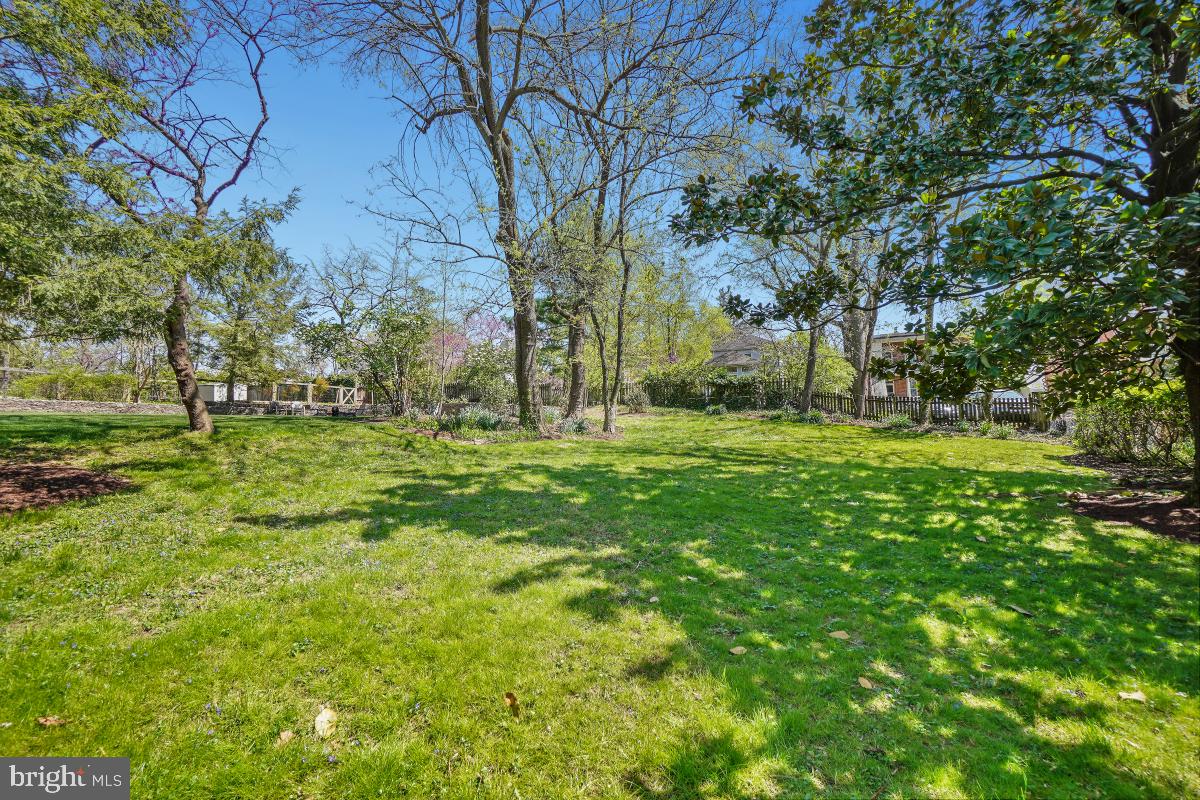 TAKOMA PARK - Residential