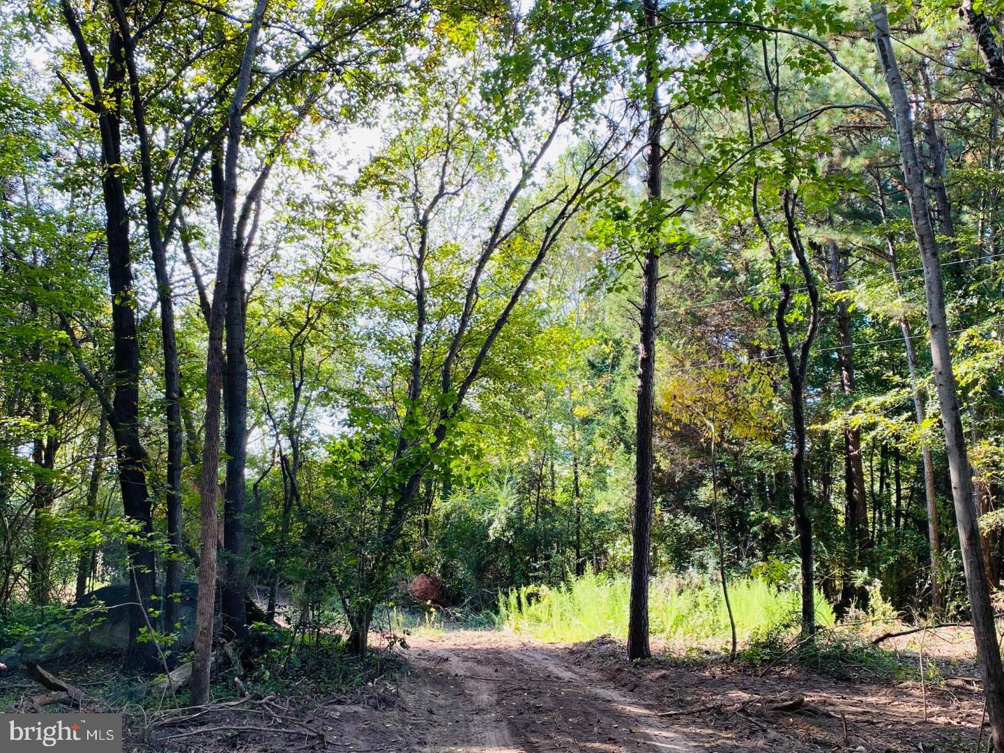 NONE AVAILABLE - Land