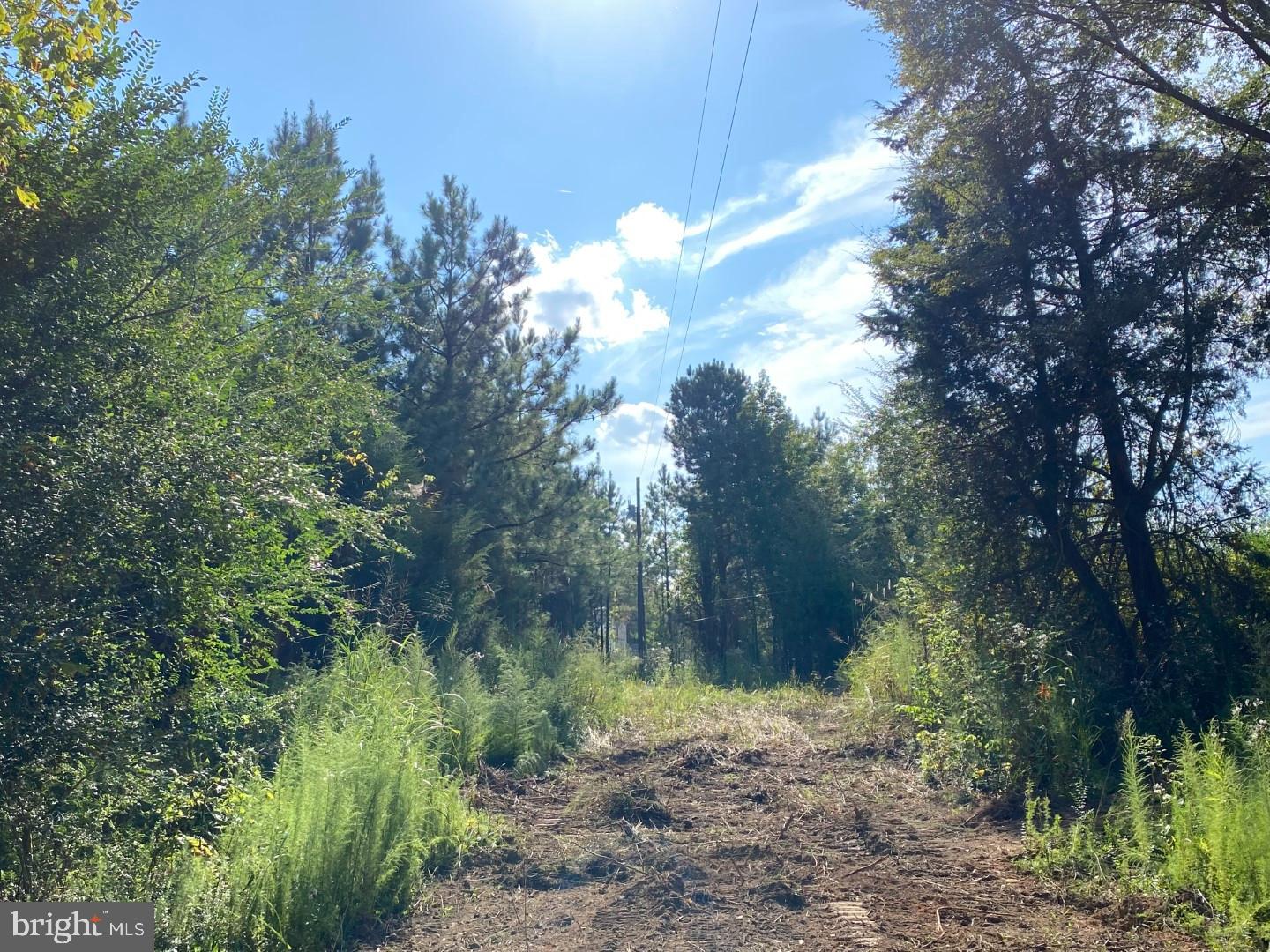 46 CHRISTANNA HIGHWAY 10.87 ACRES