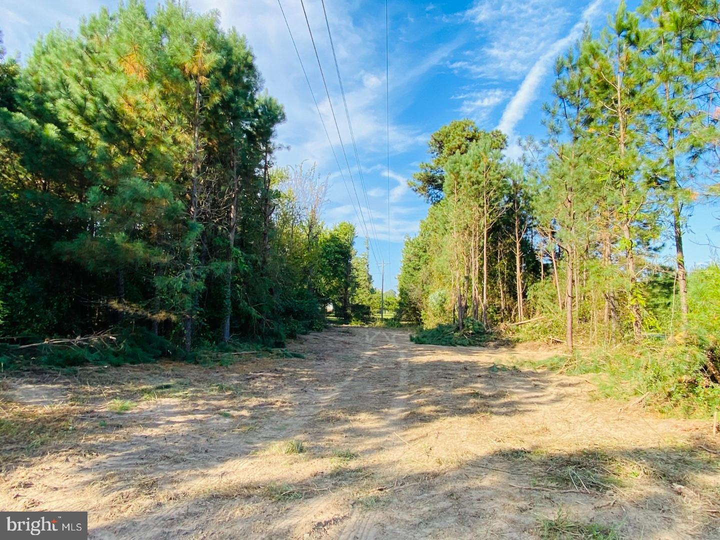 NONE AVAILABLE - Land