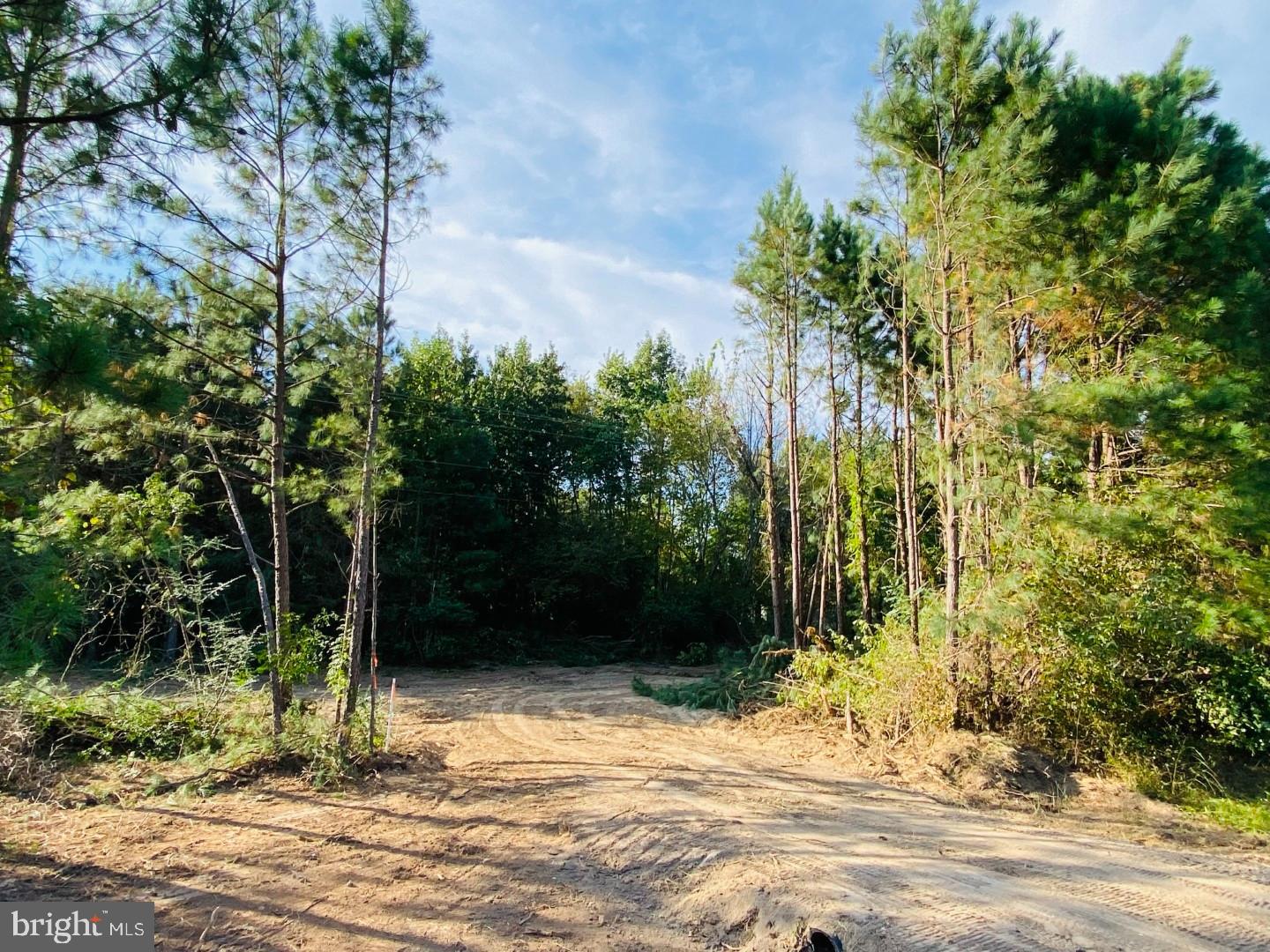 NONE AVAILABLE - Land