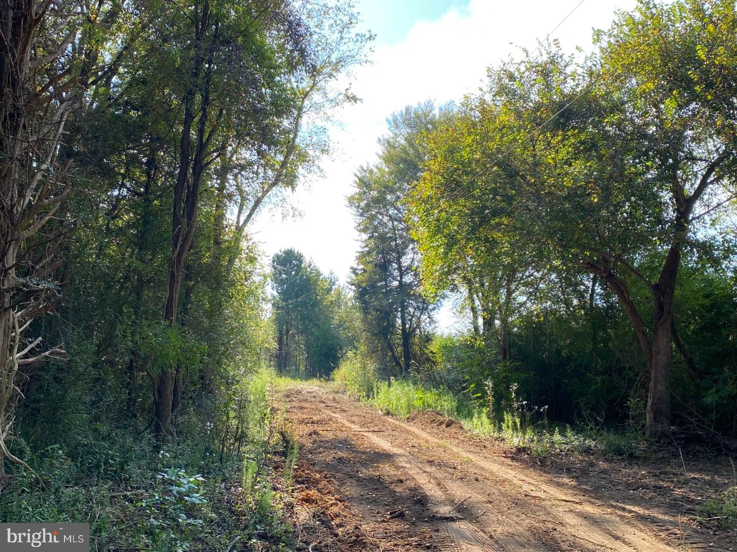 46 CHRISTANNA HIGHWAY 10.87 ACRES