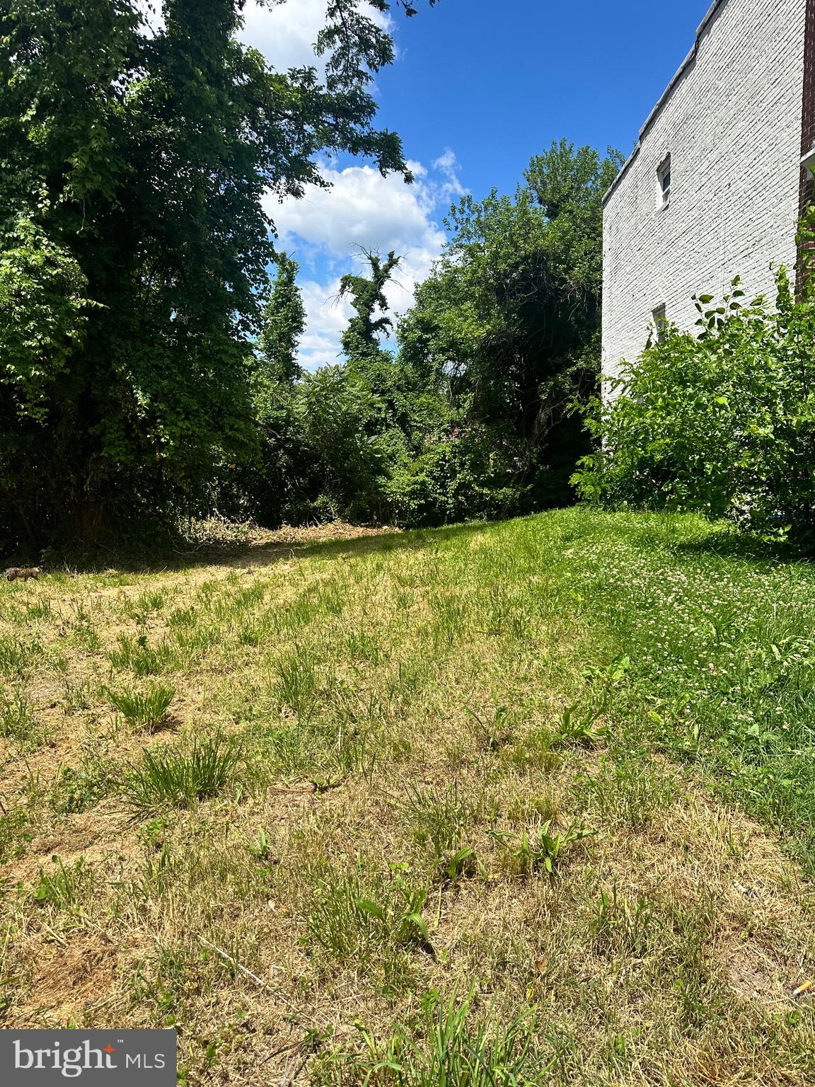 WILSON PARK - Residential