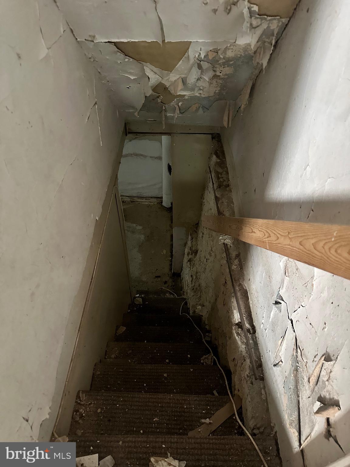 WILSON PARK - Residential