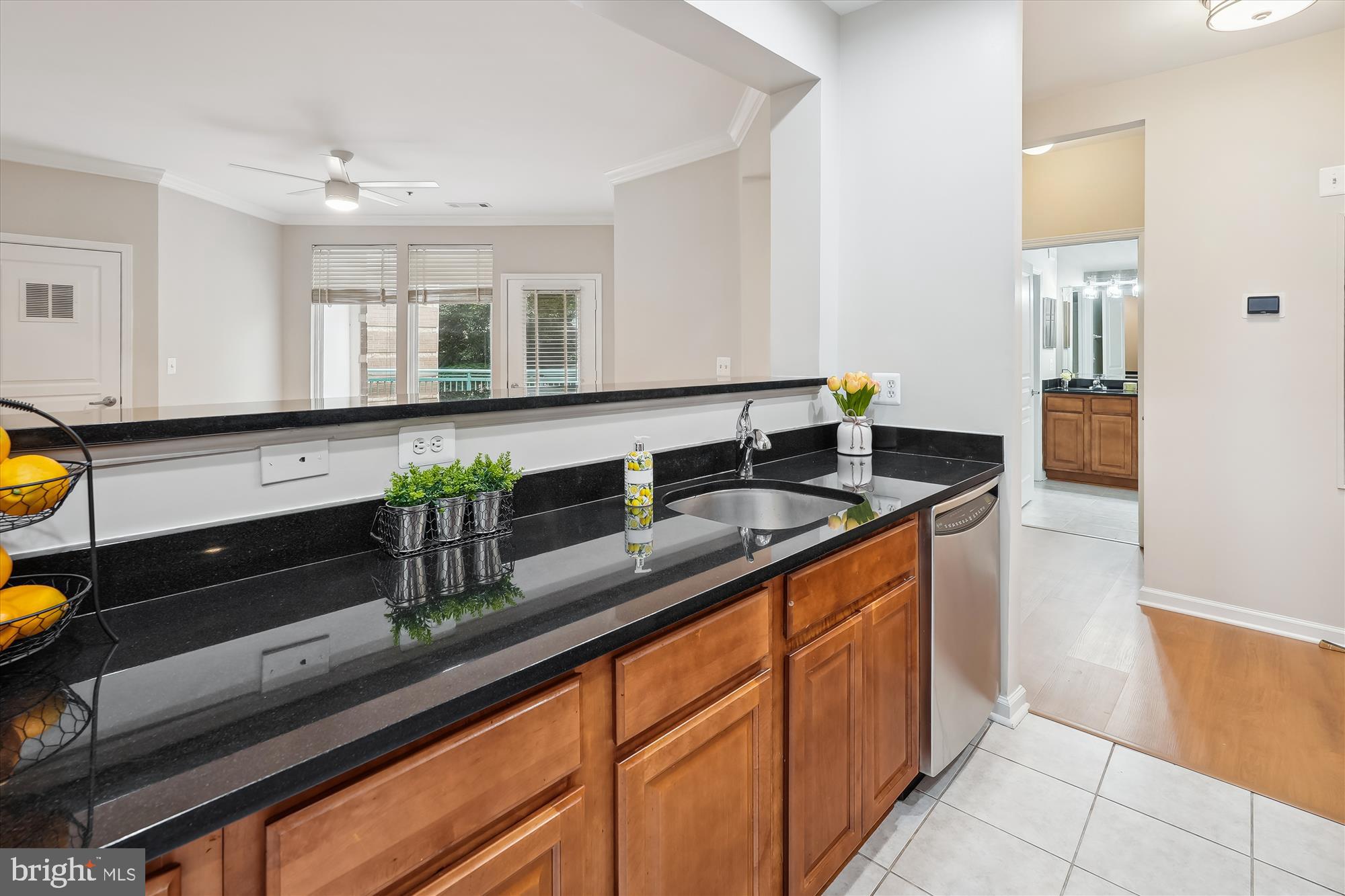 SAVOY AT RESTON TOWN CENTER - Residential