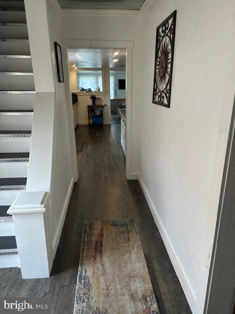 11435 JUNIATA AVENUE