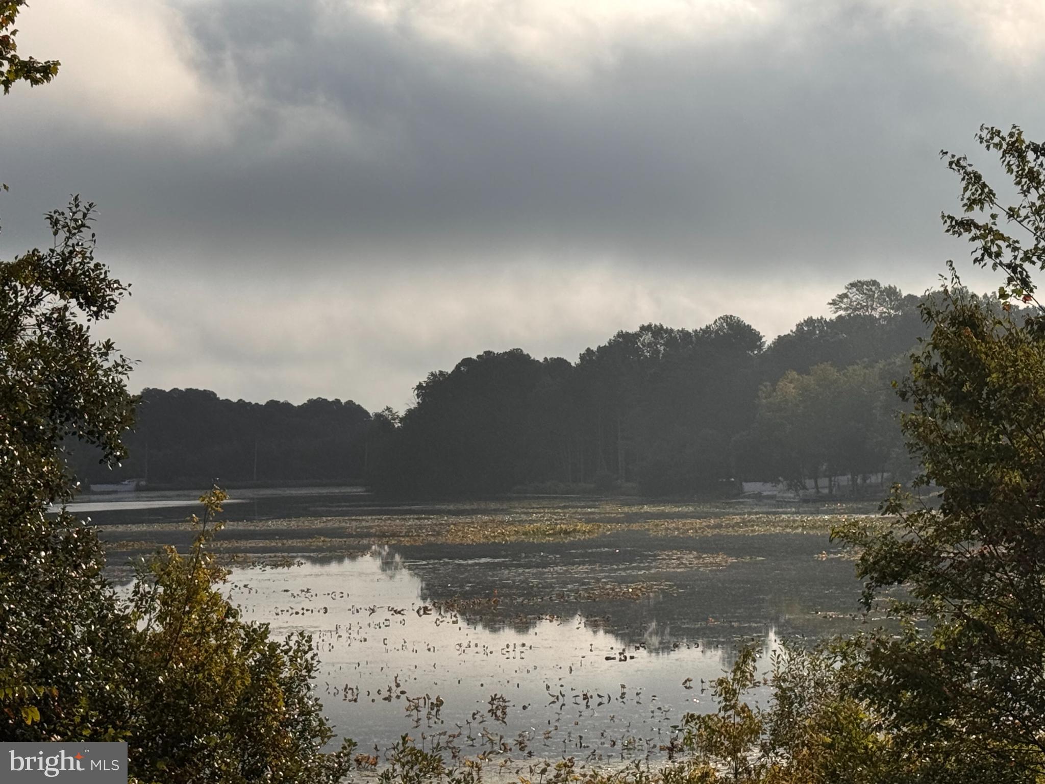 SERENITY AT CUBBAGE POND - Land